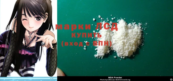 индика Абаза