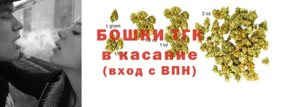 индика Абаза