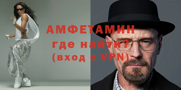 индика Абаза