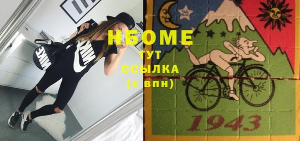 индика Абаза